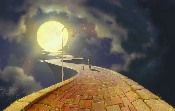 Картинка дорога, небо, кот, облака, ночь, луна, человек, фонарь