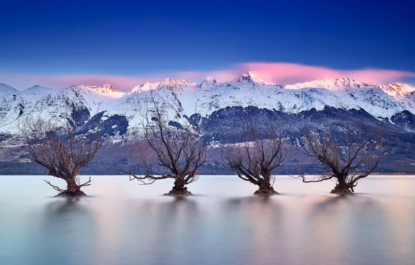 Деревья, горы, озеро, Новая Зеландия, New Zealand, Queenstown, Lake Wakatipu, Куинстаун