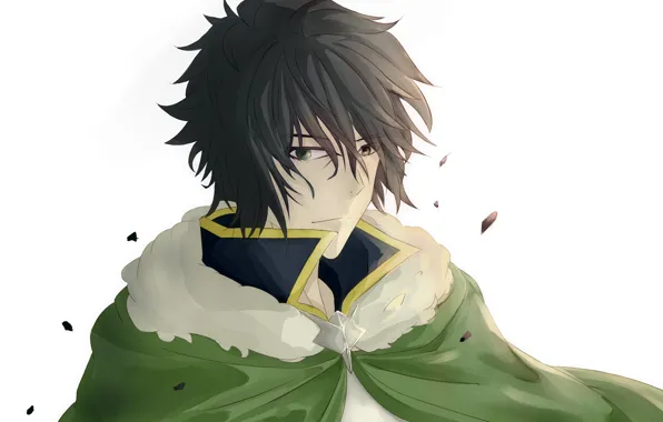 Взгляд, парень, плащ, The Rising of the Shield Hero