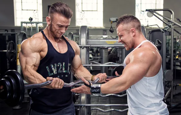 Muscles, screams, bodybuiders
