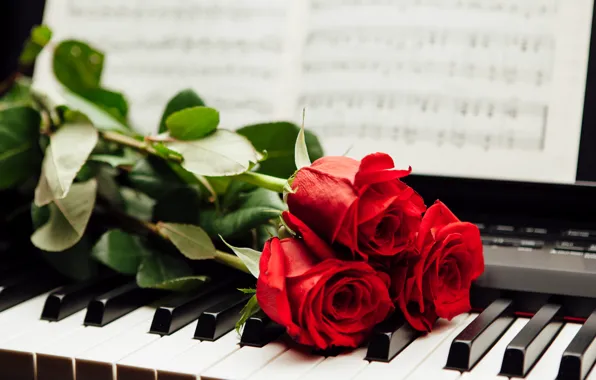 Картинка ноты, розы, клавиши, красные, пианино