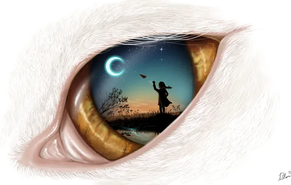 Картинка небо, ночь, луна, арт, кошачий глаз, самолетик