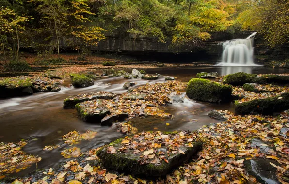 Картинка осень, лес, листья, деревья, река, камни, Англия, водопад