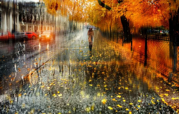 Мокро, осень, девушка, капли, город, улица, листва, зонт