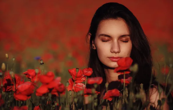 Poppies, Adriana, Maciej Werbliński