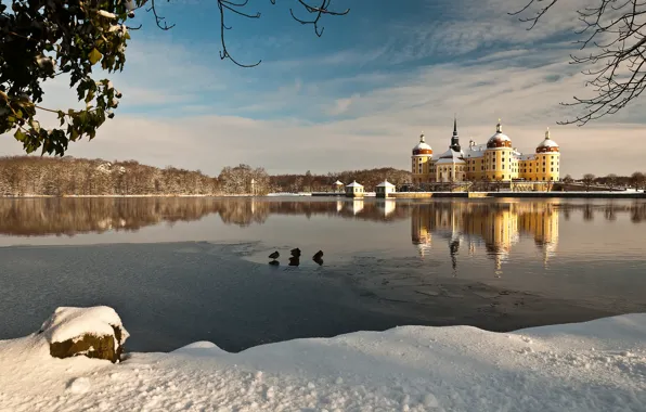 Зима, вода, снег, озеро, отражение, Германия, Germany, Moritzburg Castle