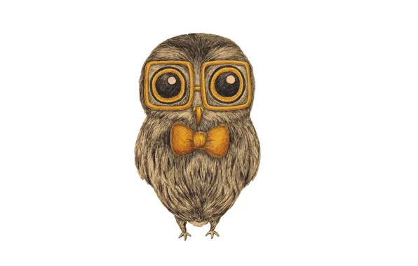Сова, птица, очки, белый фон, живопись, бант, бантик, owl