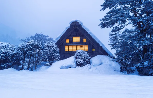 Картинка зима, снег, деревья, house, хижина, trees, landscape, winter