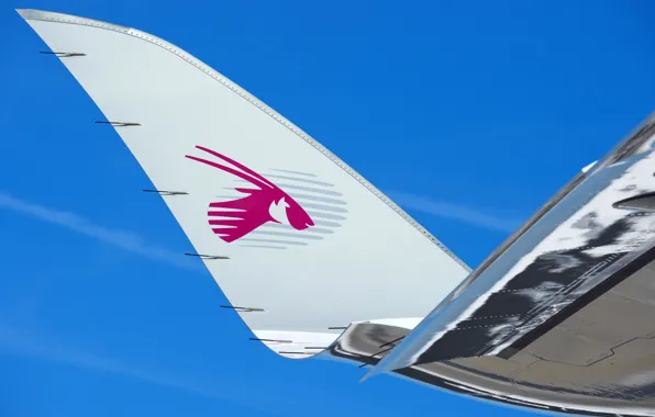 Самолет, Лайнер, Airbus, Qatar Airways, Airbus A350-900, Пассажирский самолёт, Airbus A350 XWB, Винглет