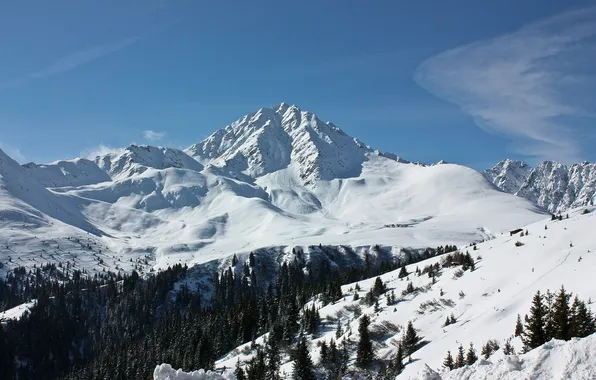 Картинка зима, снег, горы, фото, пейзажи, вид, леса