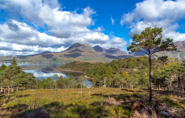 Картинка облака, деревья, горы, берег, бухта, Шотландия, залив, Upper Loch Torridon