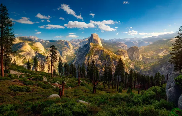 Картинка лес, небо, облака, гора, Калифорния, США, Национальный парк Йосемити