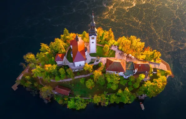 Картинка деревья, пейзаж, природа, озеро, дома, церковь, островок, Словения