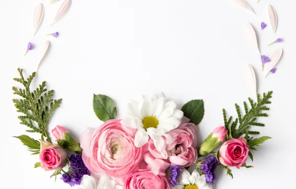 Цветы, розы, белый фон, бутоны, flowers, декор, рананкулюс