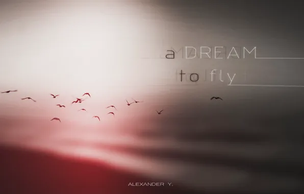 Dream, minimal, fly, alexander y