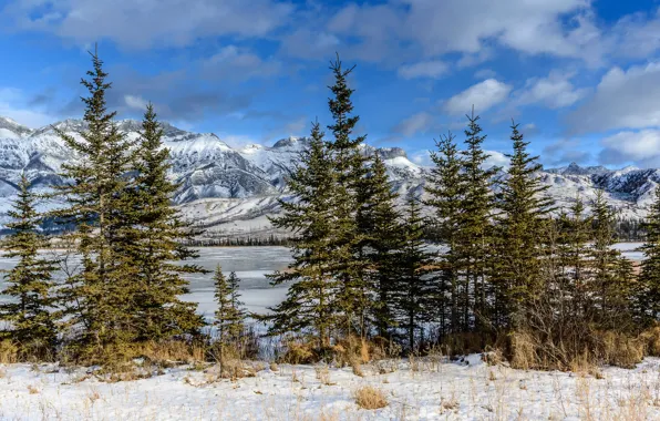 Картинка снег, горы, озеро, ели, Канада, Альберта, национальный парк, Джаспер