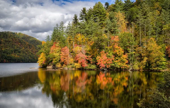 Картинка США, лес, осень, облака, озеро, Lake Logan, North Carolina, Haywood County