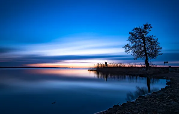 Картинка озеро, дерево, рассвет, зарево