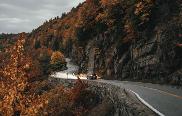 Car, Nature, Wood, Landscape, Mountain, Autumn, Street, Trees
