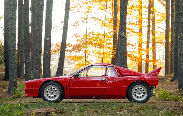 Картинка Lancia, Rally, 1982, side view, Lancia Rally 037 Stradale