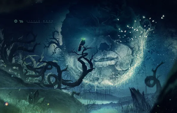 Деревья, птицы, лицо, глаз, знак, ворон, little moon