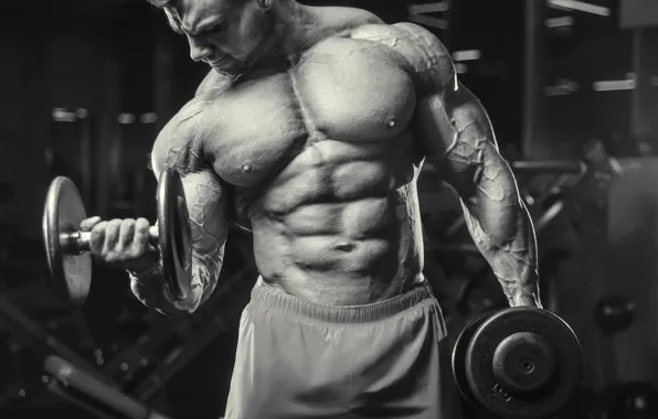 Muscle, мышцы, man, пресс, pose, гантели, gym, бодибилдер