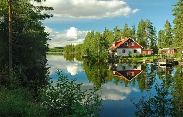 Картинка лес, небо, трава, облака, деревья, пейзаж, природа, озеро