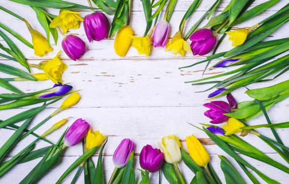 Картинка цветы, тюльпаны, yellow, flowers, tulips, purple, frame