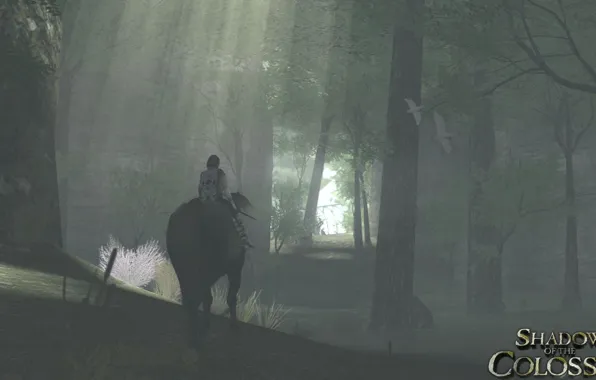 Лес, Воин, Тень Колоссов, Wander, Shadow of the Colossus