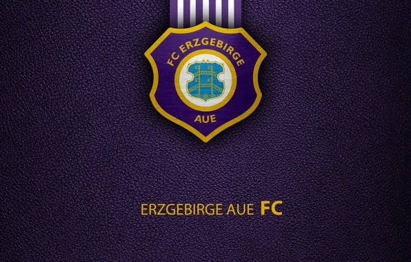 Wallpaper, sport, logo, football, Bundesliga, Erzgebirge Aue