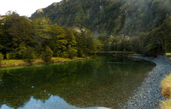 Вода, деревья, мост, скала, отражение, камни, прозрачная, Новая Зеландия
