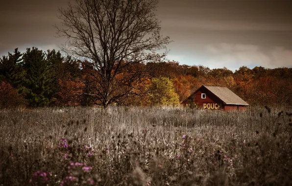Картинка осень, деревья, пейзаж, природа, дом, фото, фон, обои