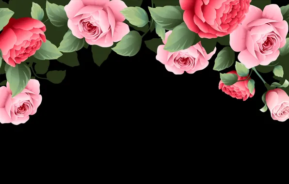Картинка цветы, фон, розы