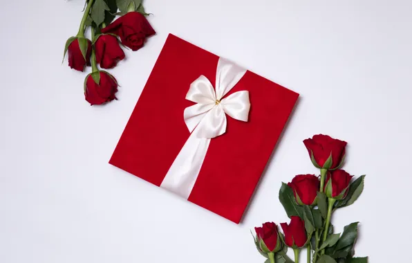 Любовь, подарок, розы, букет, красные, red, love, flowers