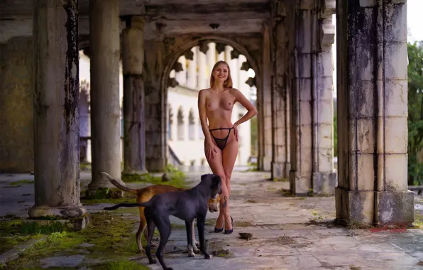Panties, animals, nipples, boobs, dog, model, tattoo, women