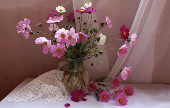 Картинка цветы, стол, ваза, розовые, натюрморт, скатерть, тюль, космея