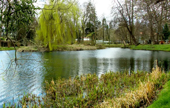 Park, lake, pond