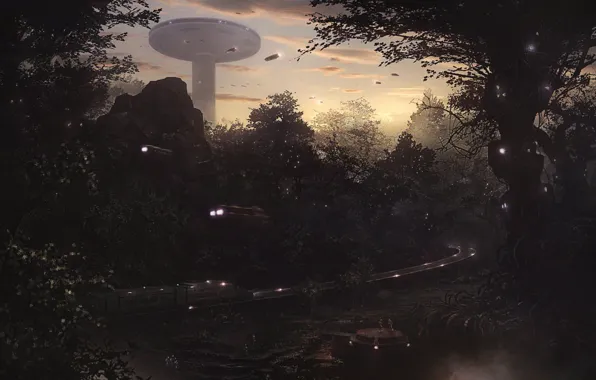 Dusk, of the grand south, in the forest