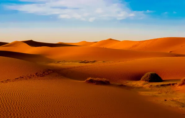 Песок, небо, облака, пустыня, бархан