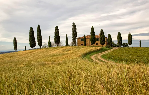 Картинка поле, небо, деревья, дом, холм, Италия, Пьенца, Сиена