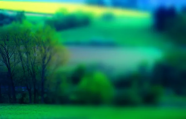 Картинка поле, трава, деревья, пейзаж