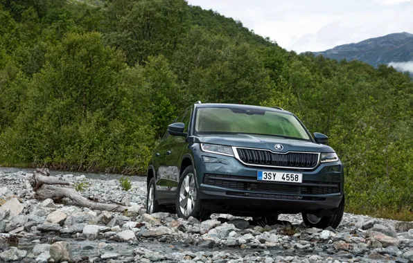 Лес, деревья, камни, SUV, Škoda, Skoda, 2016, Kodiaq