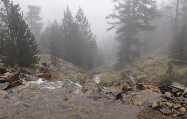 Fog, Valia Calda, Grevena