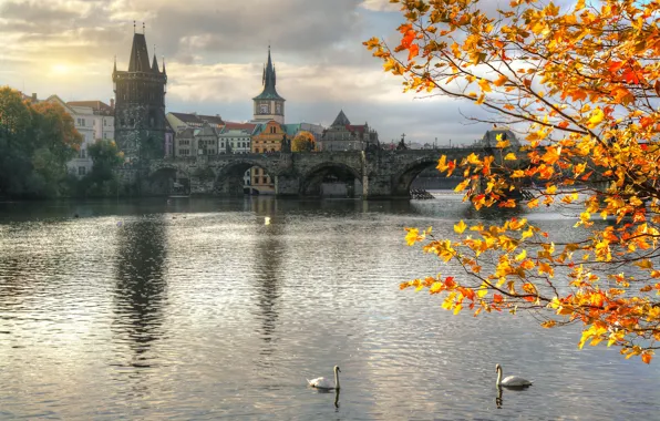 Картинка осень, ветки, мост, город, река, здания, дома, Прага