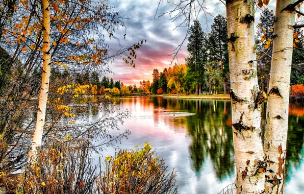 Осень, деревья, пейзаж, природа, река, фото, дерево, ствол