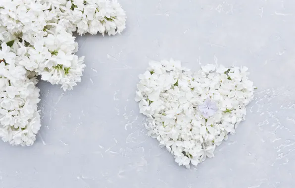 Цветы, сердце, белая, love, white, heart, wood, flowers