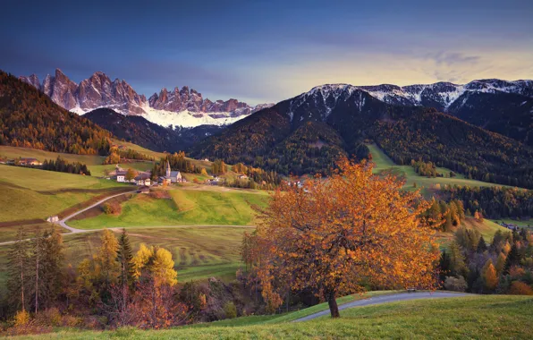 Осень, снег, деревья, горы, дома, Альпы, Италия