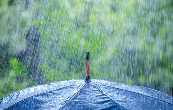Макро, зонтик, дождь, ливень