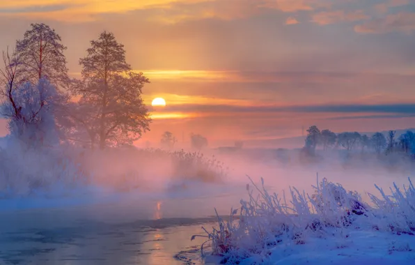 Картинка зима, снег, деревья, туман, река, восход, рассвет, утро