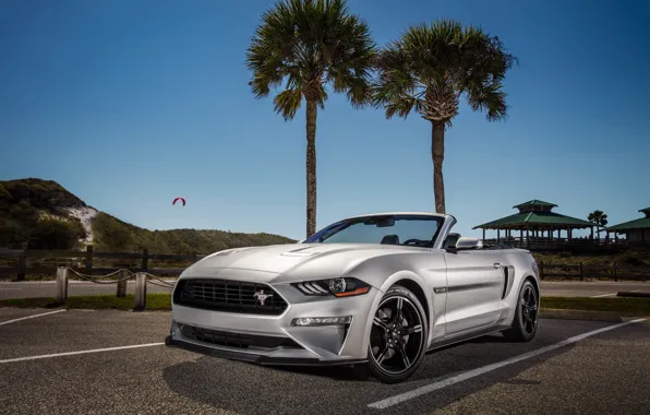 Ford, Convertible, Mustang GT, Califorina, 2019